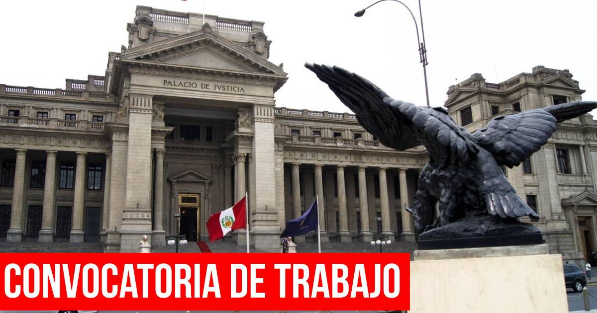 Poder Judicial ofrece trabajo a universitarios, técnicos y titulados con sueldos de hasta S/8,000: Descubre AQUÍ cómo postular