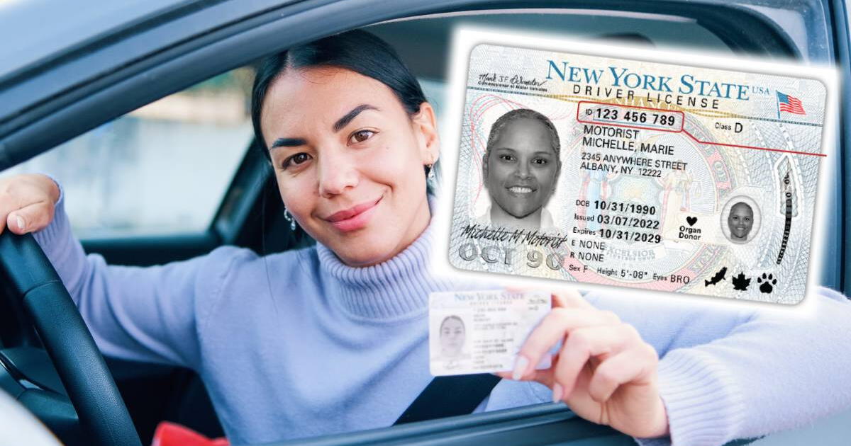 Licencia de conducir para INMIGRANTES INDOCUMENTADOS en Nueva York: GUÍA DEFINITIVA para obtener el documento