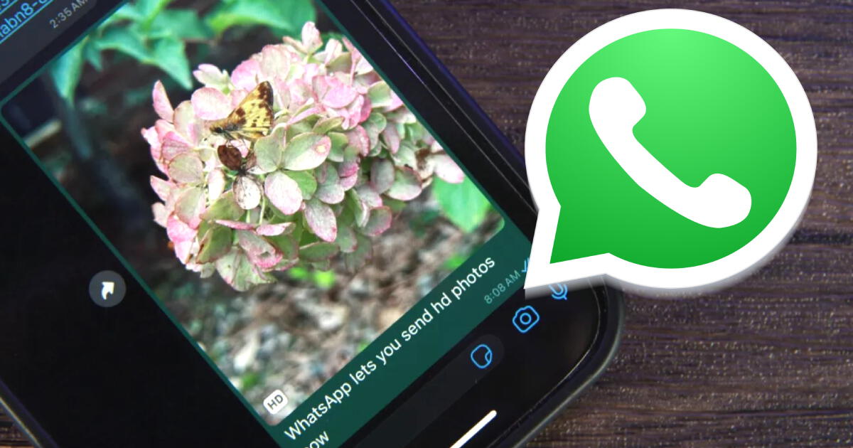 El infalible TRUCO de WhatsApp a iPhone para guardar fotos que solo se pueden ver una vez