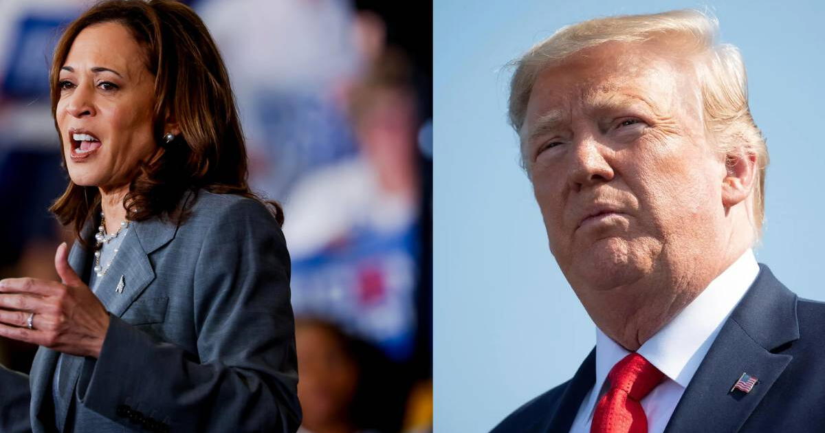 Ojo votantes en EE.UU.: Así van las últimas encuestas entre Kamala Harris y Donald Trump