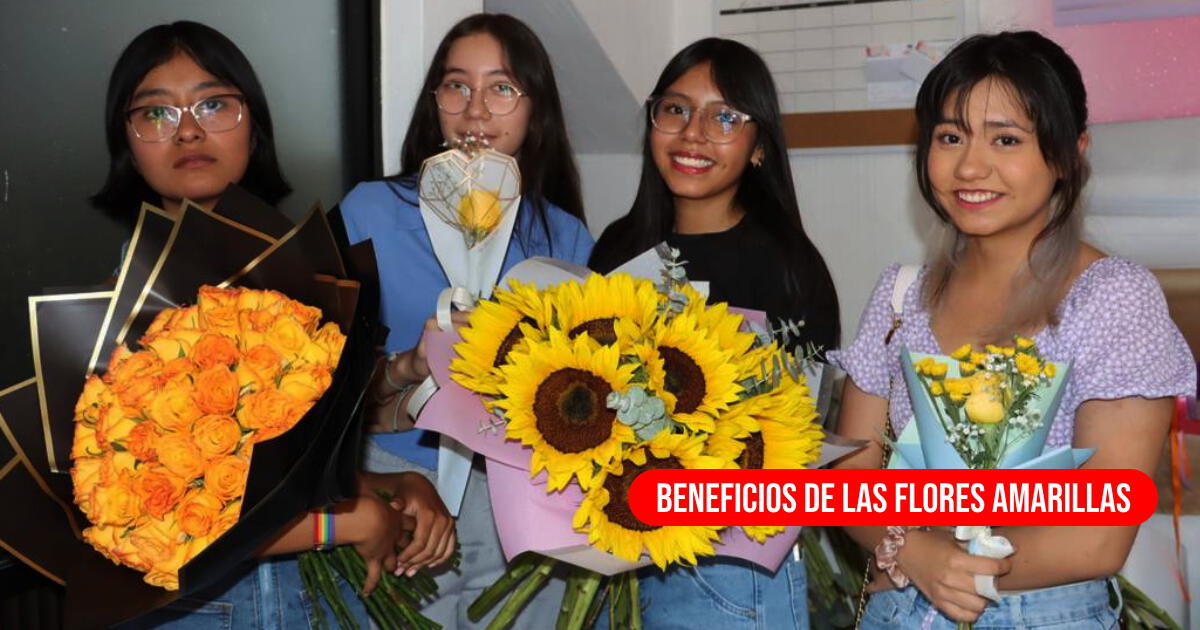 La razón de por qué las FLORES AMARILLAS ayudan a mejorar tu salud, según un estudio