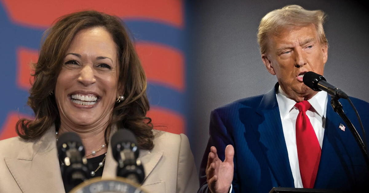 ATENCIÓN: estos son los NUEVOS CAMBIOS en las campañas de Trump y Harris por huracán Helene