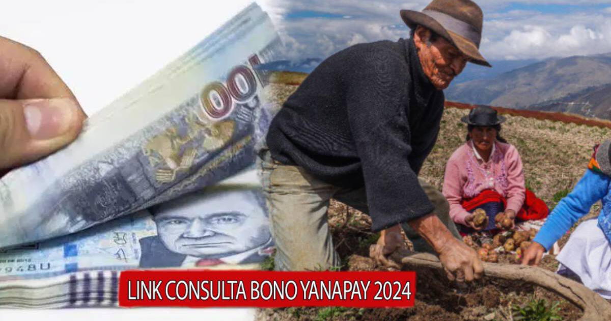 Bono Yanapay de 700 soles, NUEVO PAGO: ¿Cuándo comenzaría el depósito de este mes de octubre?