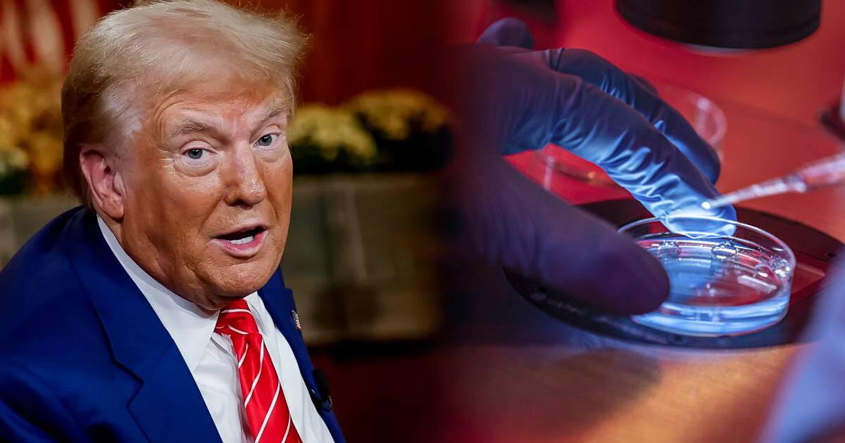 Donald Trump y su SORPRENDENTE declaración sobre la fecundación in vitro