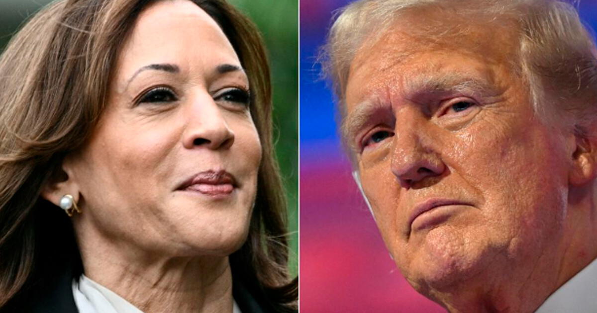 Donald Trump vs. Kamala Harris: Esta es la polémica opinión de los venezolanos sobre las elecciones