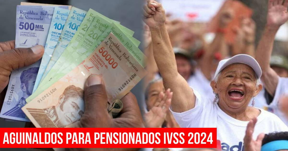 Aguinaldos 2024: confirman FECHA DE PAGO para pensionados y cómo cobrarlo por el Sistema Patria