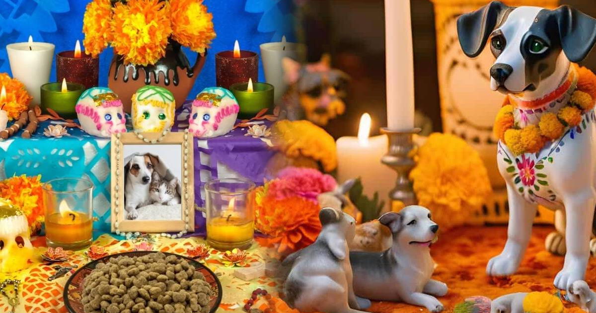 Día de Muertos para MASCOTAS 2024: ¿A qué hora llegan y cómo hacer el altar para recibirlos el 27 de octubre?