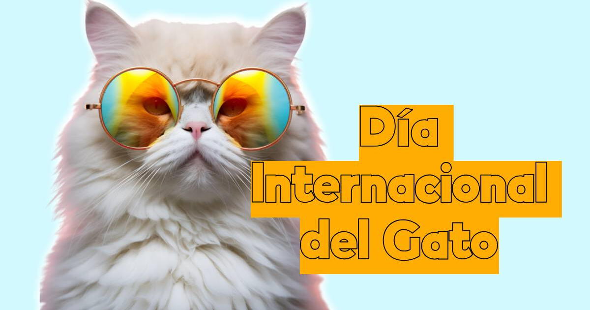 FRASES para el Día Internacional del Gato: tiernos y graciosos mensajes para COMPARTIR por WhatsApp