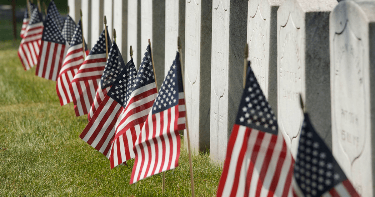 Día de los veteranos 2024: ¿Qué es y cuándo se celebra en Estados Unidos?