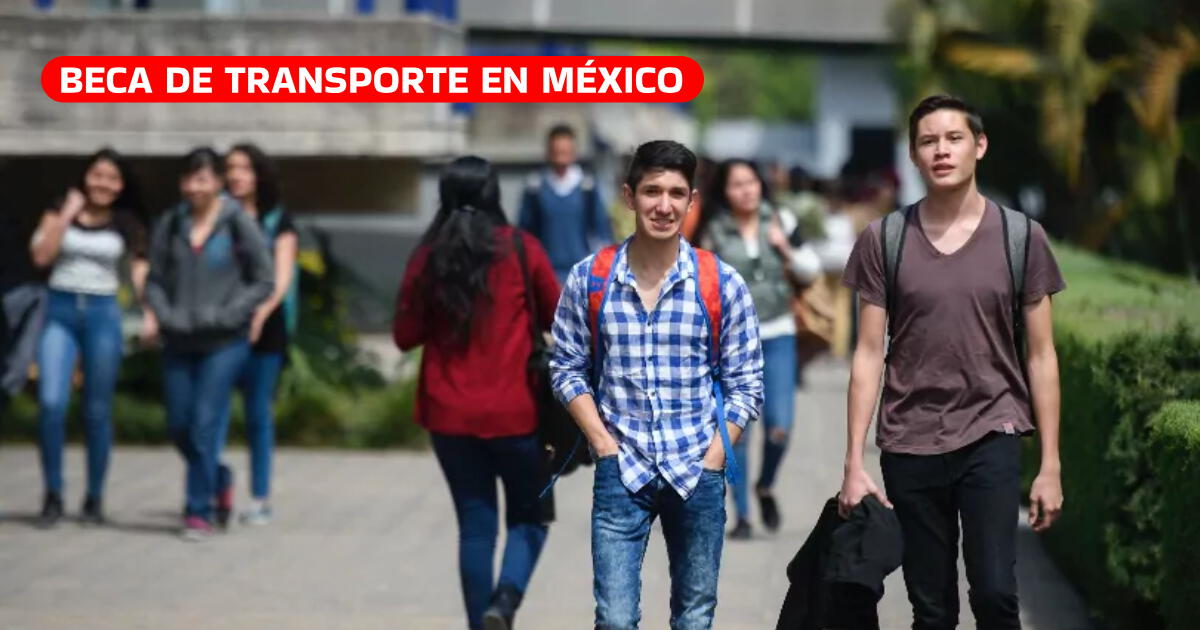 Beca de transporte para universitarios en México: ¿Qué estudiantes pueden recibir el apoyo?