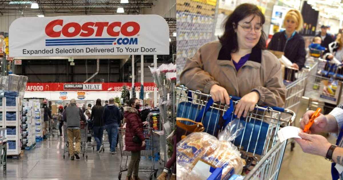 Conoce los NUEVOS PRODUCTOS que venderá Costsco desde noviembre