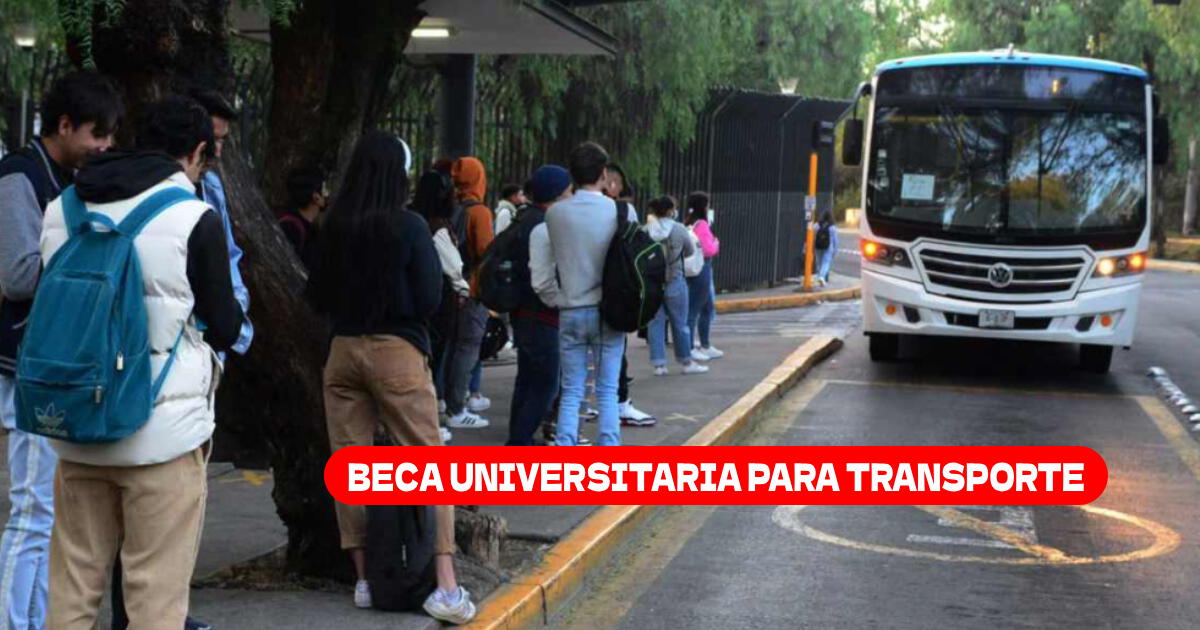 Beca Universitaria para Transporte 2024: ¿Cómo registrarte y cuál es su monto?