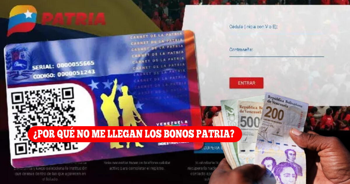 ¿Por qué no me llegan los Bonos Patria de noviembre 2024? Esto dijo el Canal de la Patria