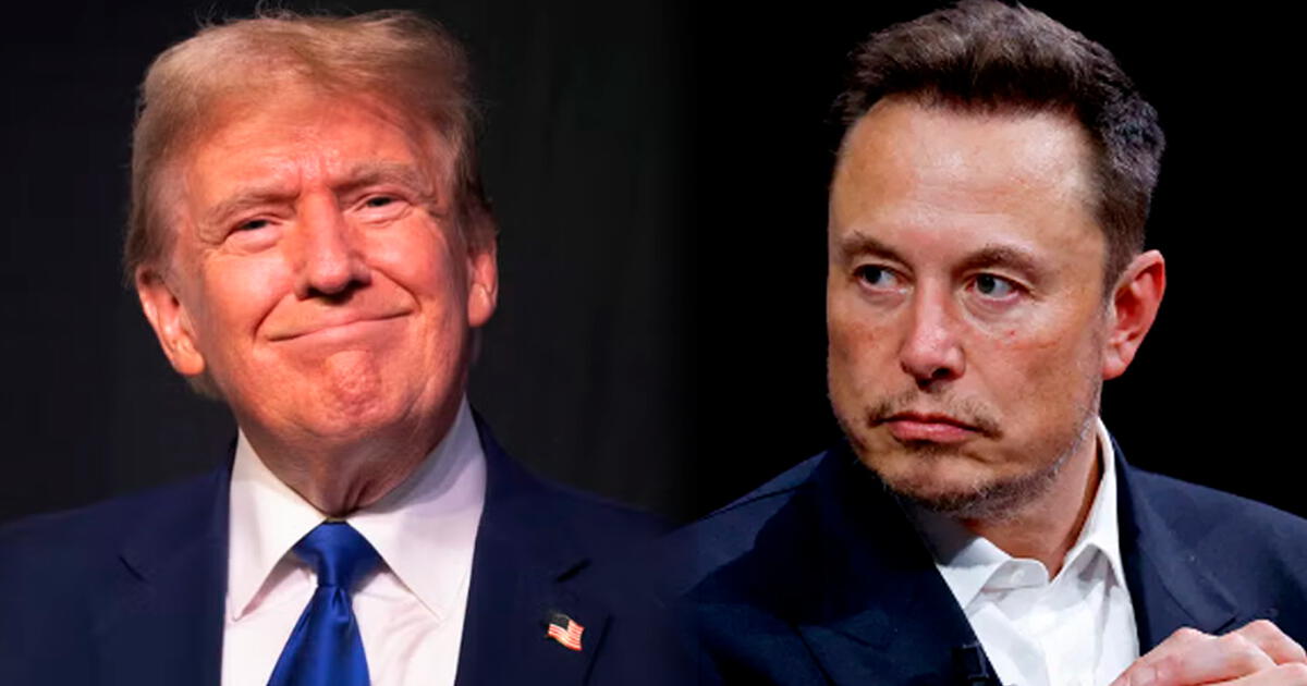 Elon Musk asume CARGO en el Gobierno de Trump: Promete 