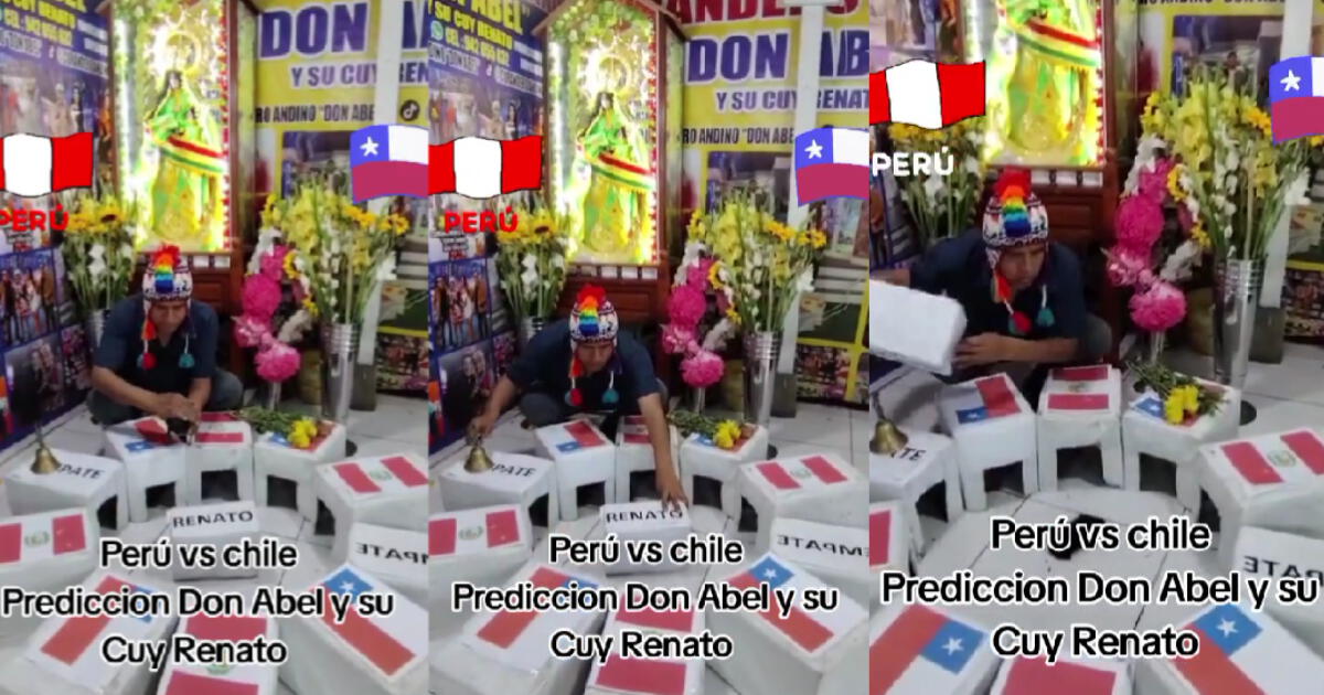 Perú vs. Chile: El cuy Renato sorprendió a hinchas con su predicción sobre el 'clásico del Pacífico'