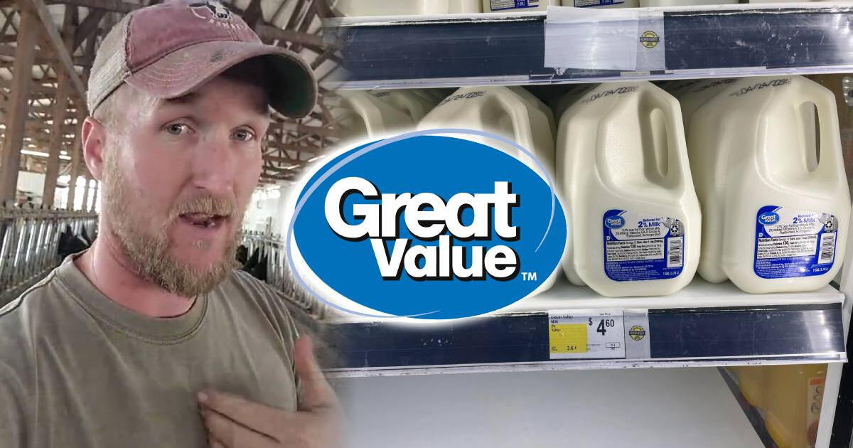 ¿Por qué la LECHE Great Value de Walmart es MÁS BARATA que otras marcas? Un granjero revela LA VERDAD