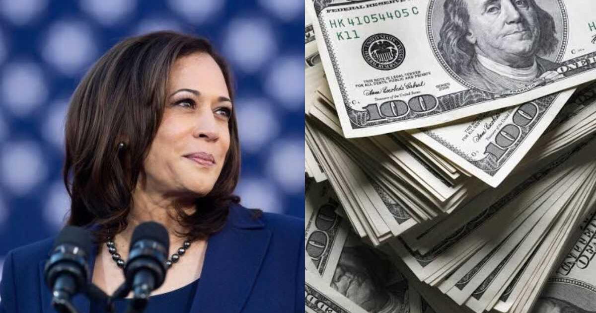 ¡Impactante! Kamala Harris recauda más de 1.000 de dólares tras su derrota electoral y sigue pidiendo donaciones