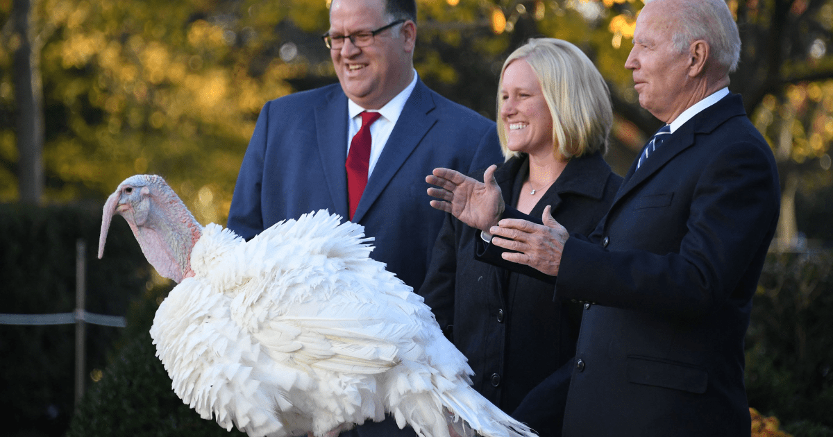 ¿El perdón de un pavo? Conoce de qué trata esta CURIOSA tradición de la celebración de Acción de Gracias