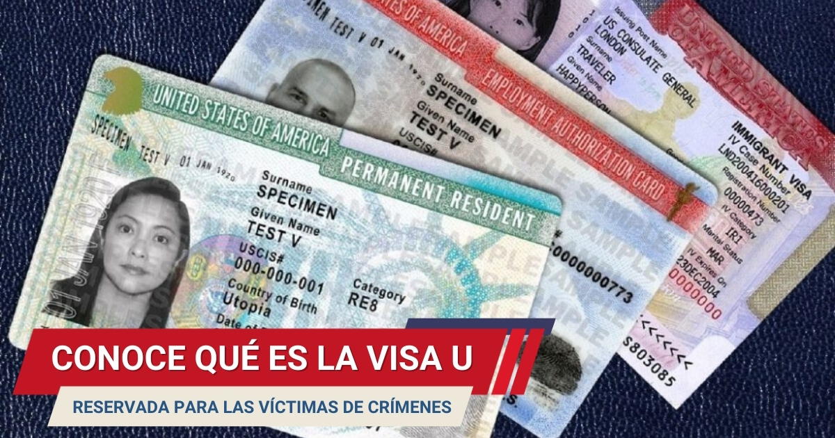 ¡Atención, inmigrantes! Esta visa les ayuda si han sido víctimas de crímenes en Estados Unidos