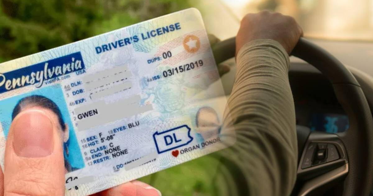 4 datos claves que debes sobre la licencia de conducir estándar y la Real ID