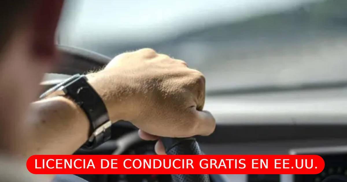 Excelentes noticias para inmigrantes: Así puedes conseguir tu licencia de conducir GRATIS en Carolina del Sur