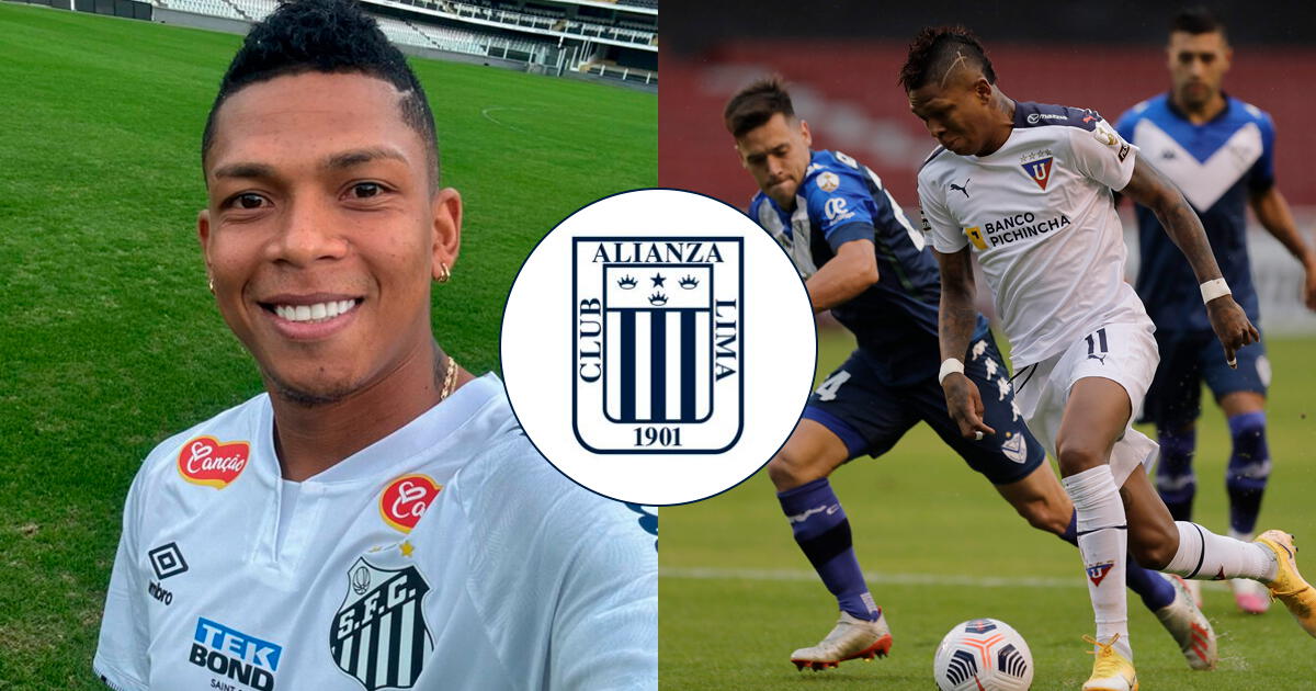 Alianza busca a reciente campeón con Santos de Brasil y bicampeón con LDU, informan en Ecuador