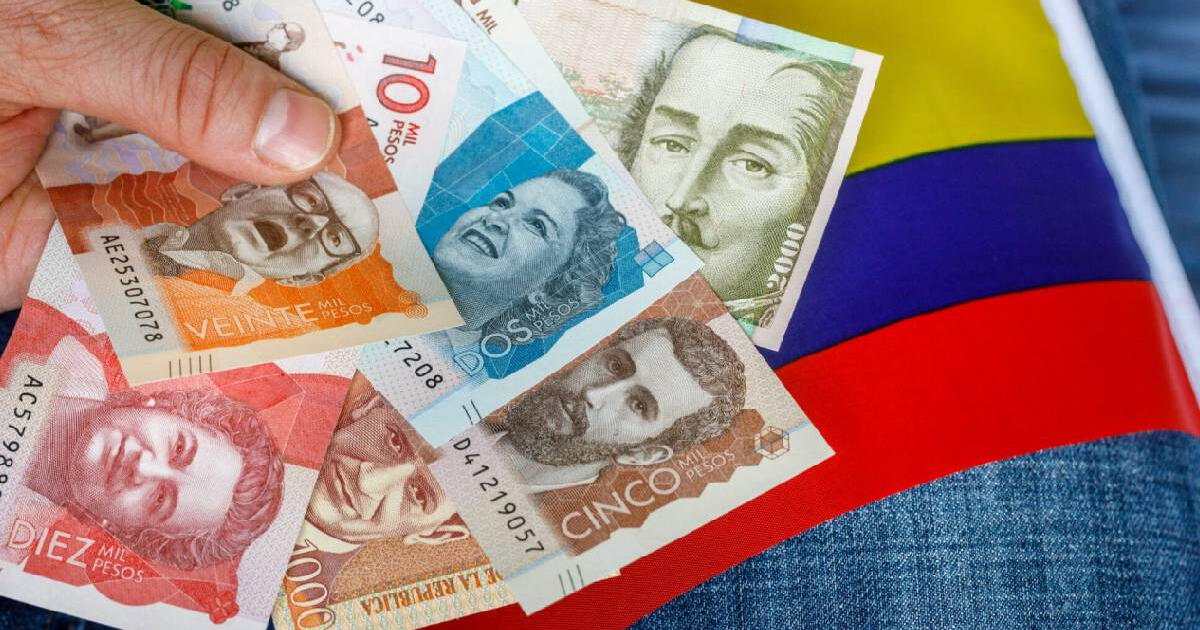 Así puedes consultar con tu CÉDULA si puedes aplicar para algún SUBSIDIO ACTIVO en Colombia