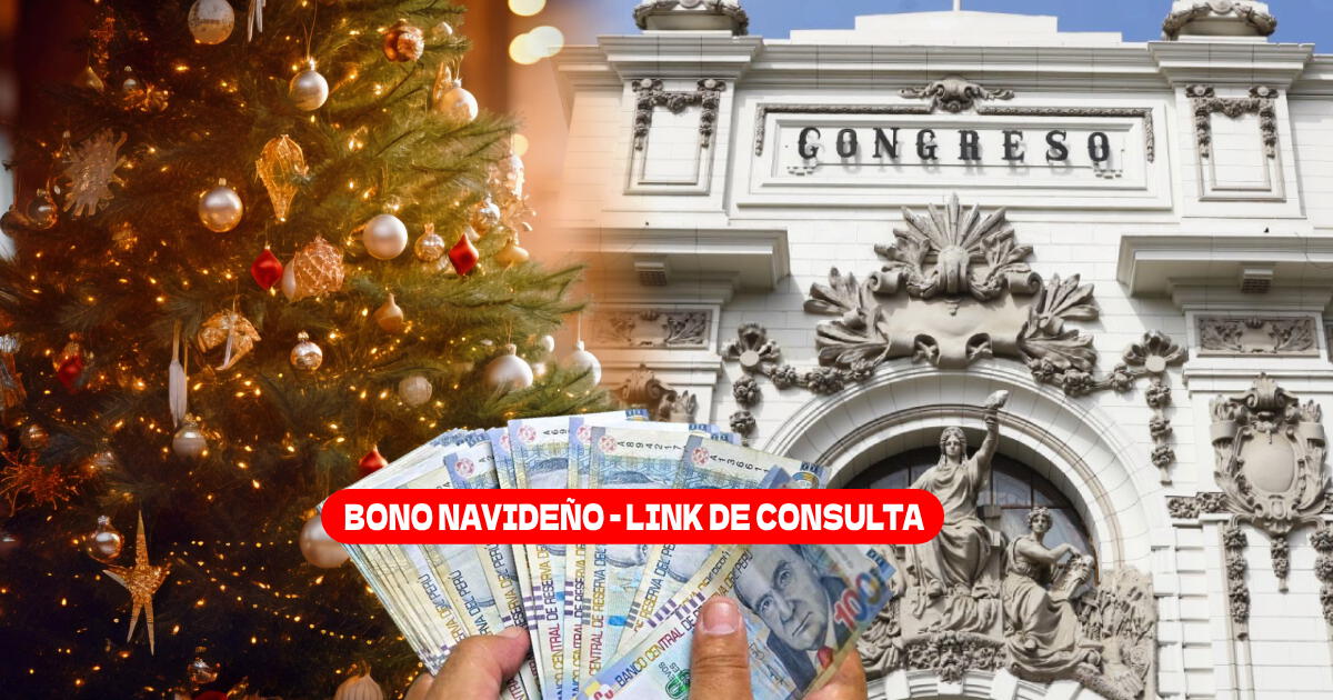 Bono Navideño 2024, LINK de consulta: Revisa AQUÍ si te corresponde COBRAR el subsidio