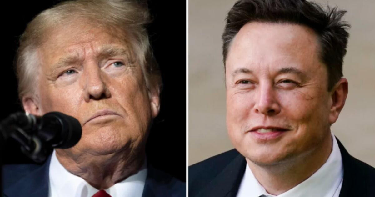 ¡Polémico! Elon Musk y la noticia relacionada a Trump que causa revuelo entre los inmigrantes