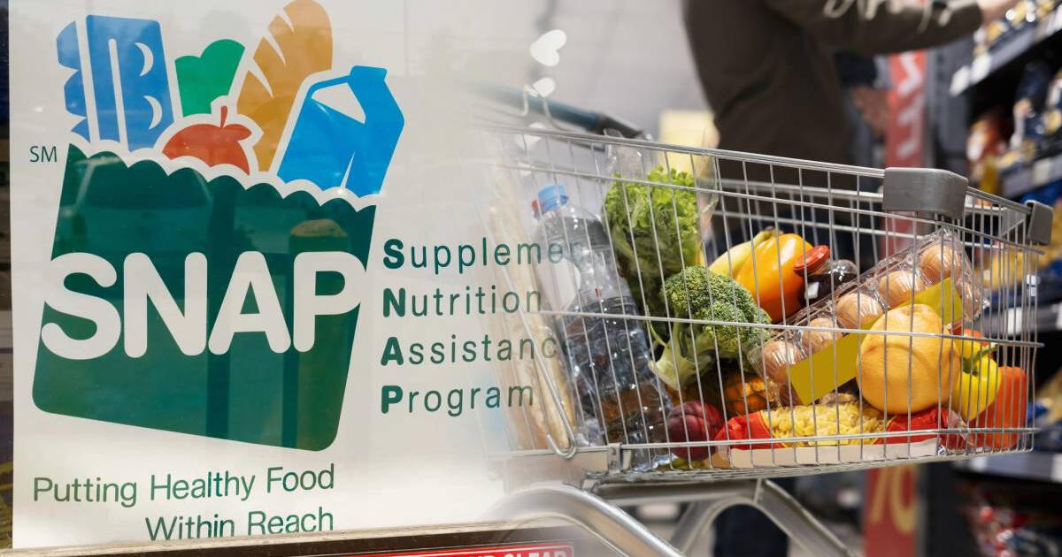 Cupones de alimentos en Estados Unidos: ¿Qué es SNAP y quiénes pueden CALIFICAR EN 2025?