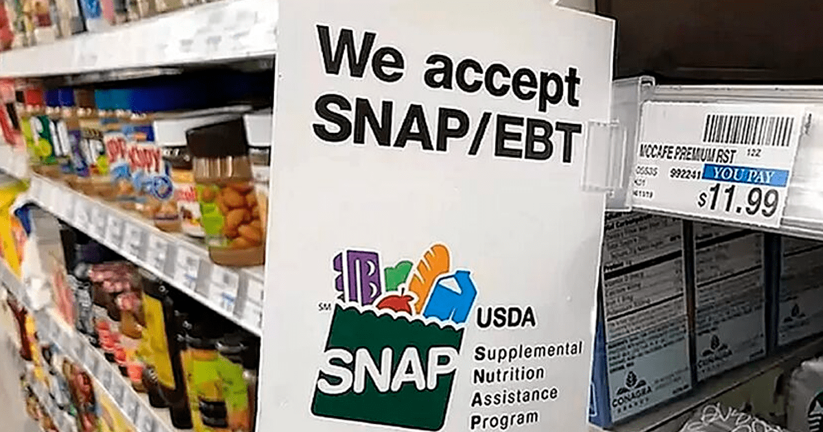 Estados Unidos: ¿Puedo recibir cupones de alimento SNAP si soy indocumentado?