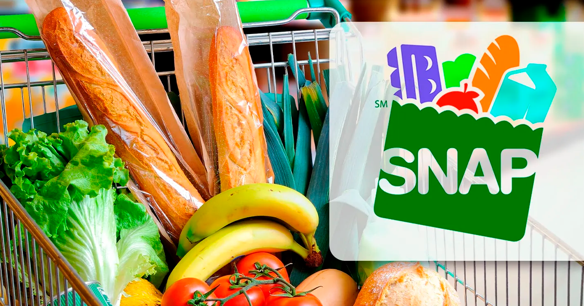 ¿Cuál es el ingreso más alto para calificar a los beneficios de los cupones de alimentos SNAP?