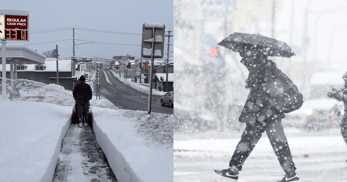 ¡ALERTA en Estados Unidos! Estas son las ciudades que quedarán bajo la nieve durante el invierno