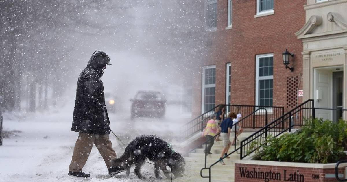 Atención, inmigrantes: las escuelas cierran en Washington tras fuertes tormentas de nieve