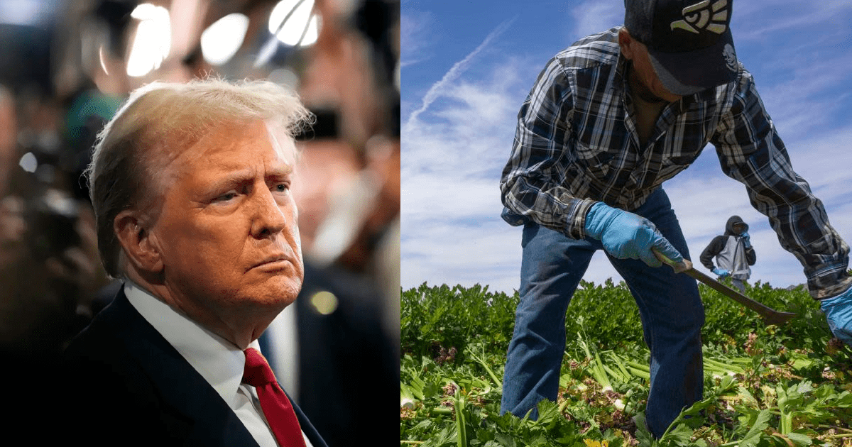 ¡ALERTA, inmigrantes! De esta manera podría afectar las deportaciones de Trump a las economías agrícolas de los estados