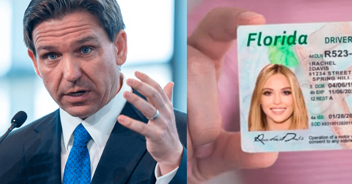 BUENAS NOTICIAS, trabajadores de EE.UU.: ESTA es la NUEVA Ley Ron DeSantis que aplica la Licencia Universal en Florida