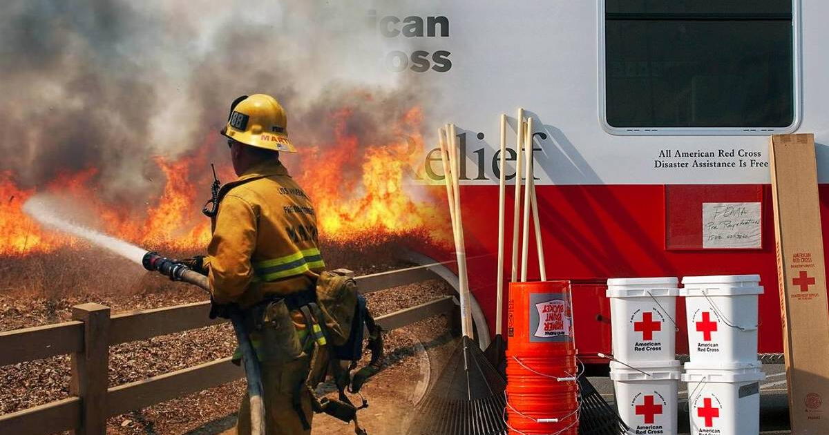 Atención, inmigrantes: estas son las organizaciones que brindan ayuda por incendios forestales en Los Ángeles