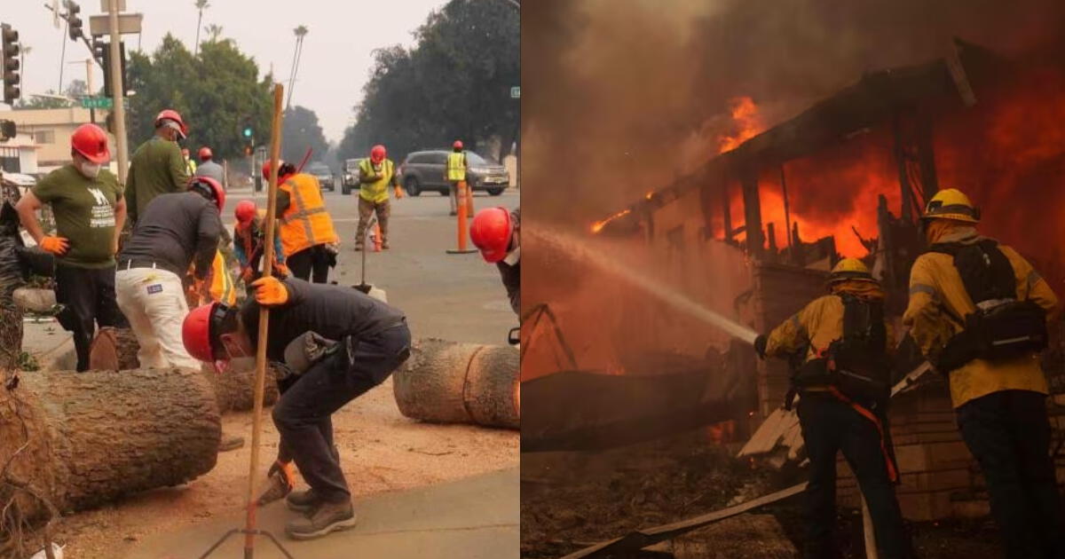 ¡Buenas noticias, EE.UU.! Trabajadores indocumentados se convierten en héroes al rescatar Los Ángeles tras el incendio