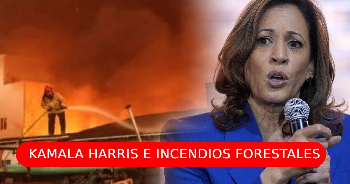 Kamala Harris y la drástica medida por los incendios forestales en Los Ángeles