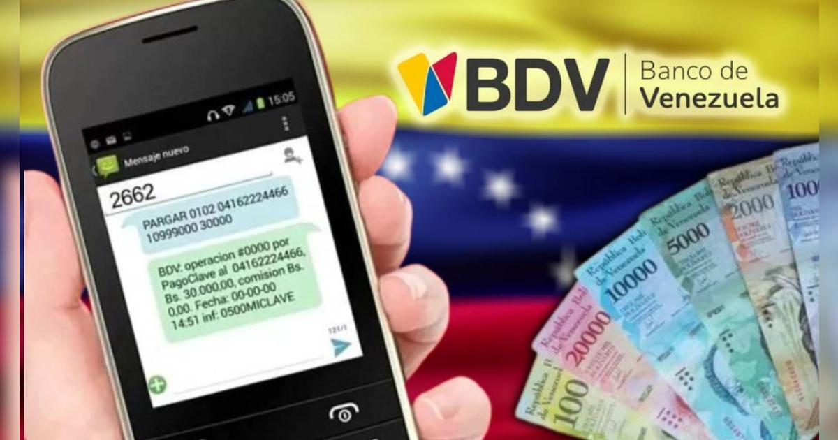 ¿Cómo hacer un PAGO MÓVIL por mensaje de texto y BDV en línea? GUÍA FÁCIL para venezolanos