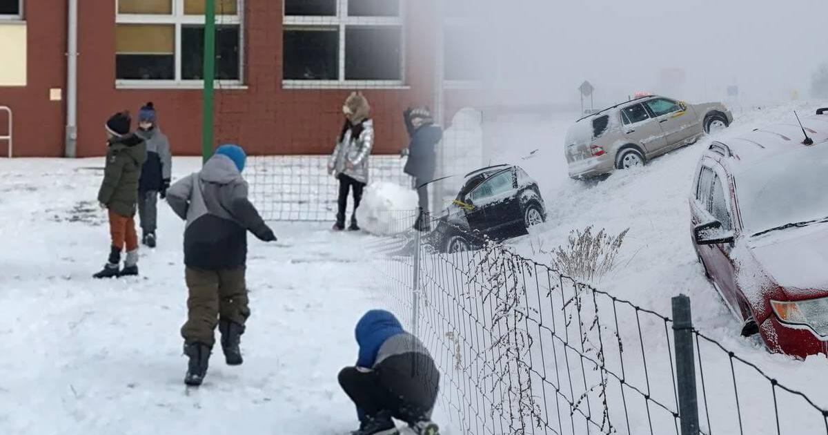 Estos ESTADOS han CANCELADO sus clases por ola de tormentas invernales en la parte sur de EE. UU.