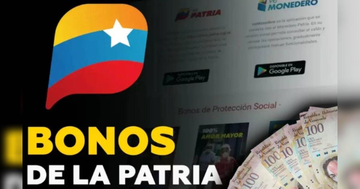 Nuevos Bonos que se ACTIVARÁN del 17 al 22 de febrero y MONTOS confirmados para cobrar vía Sistema Patria