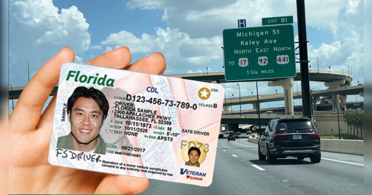 ¡ATENCIÓN inmigrantes! Así puedes obtener tu licencia de conducir en Florida, según FLHSMV