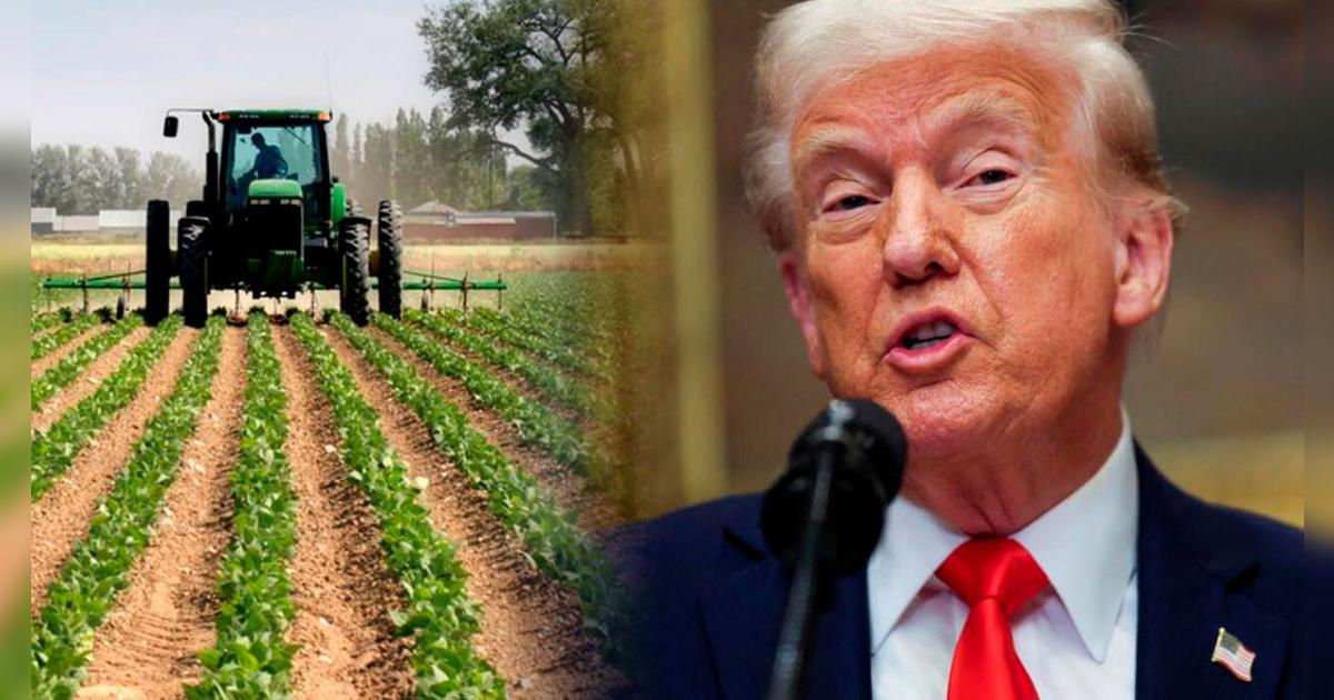¡Alerta! Trump anuncia aranceles a importaciones agrícolas a partir del 2 de abril en EE. UU.