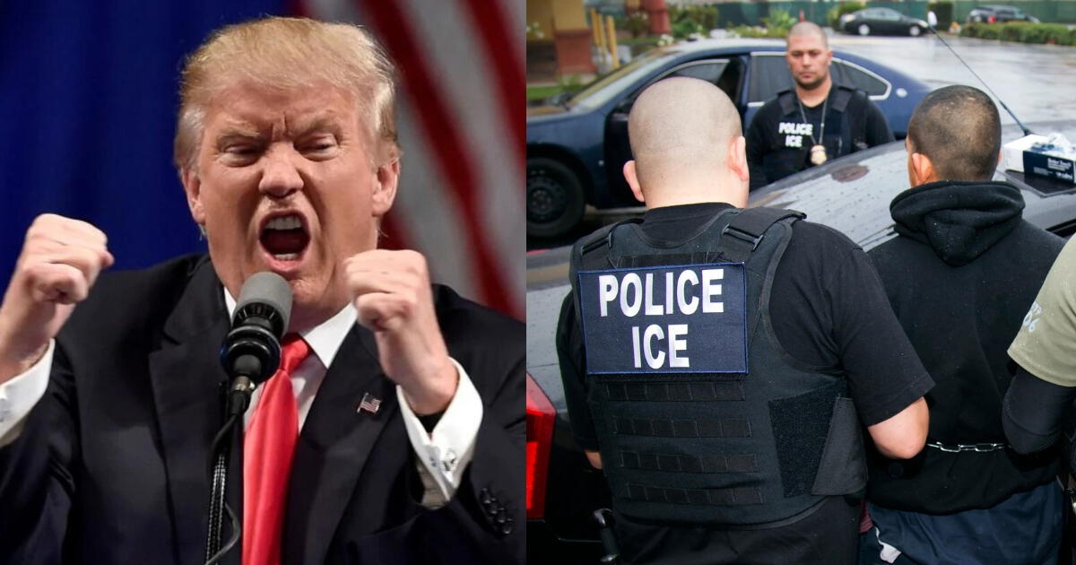 ¿El número de redadas de ICE se alinea con los planes de deportación de Donald Trump? Esto indican los estudios