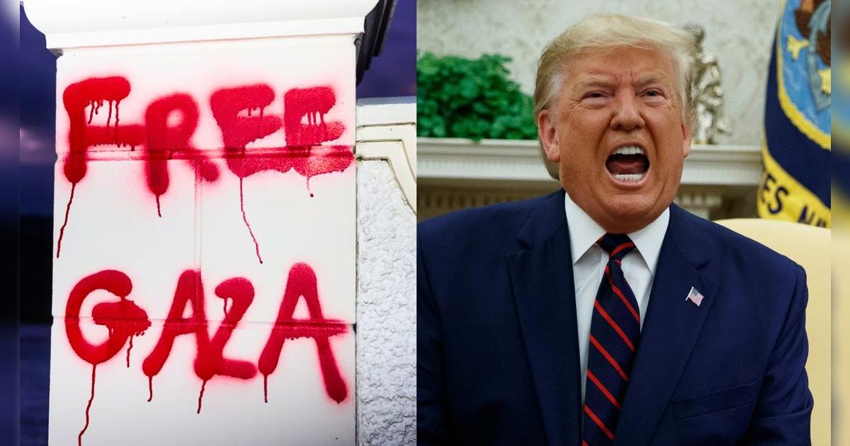 Grupo pro-Palestina vandaliza propiedad de Donald Trump con rotundo mensaje político: 