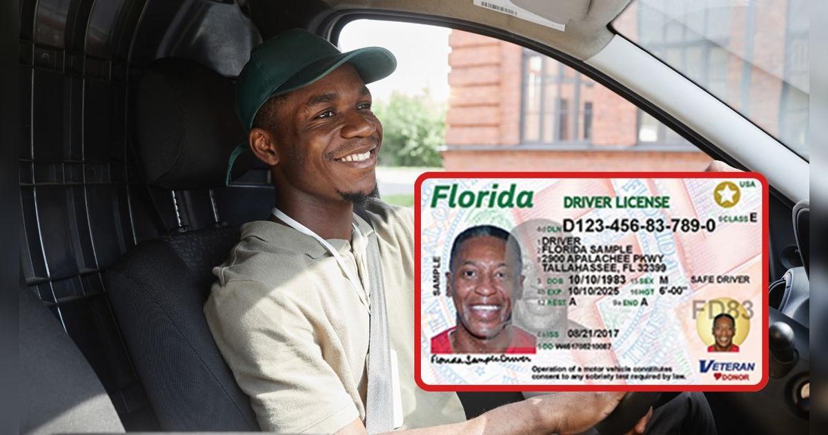 ¡Atención, conductores en Miami-Dade! Este nuevo organismo promete agilizar los trámites de licencias de conducir