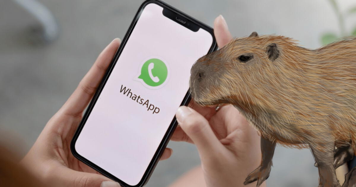 Te enseñamos cómo activar el 'Modo Capibara' para WhatsApp totalmente GRATIS y en sencillos pasos
