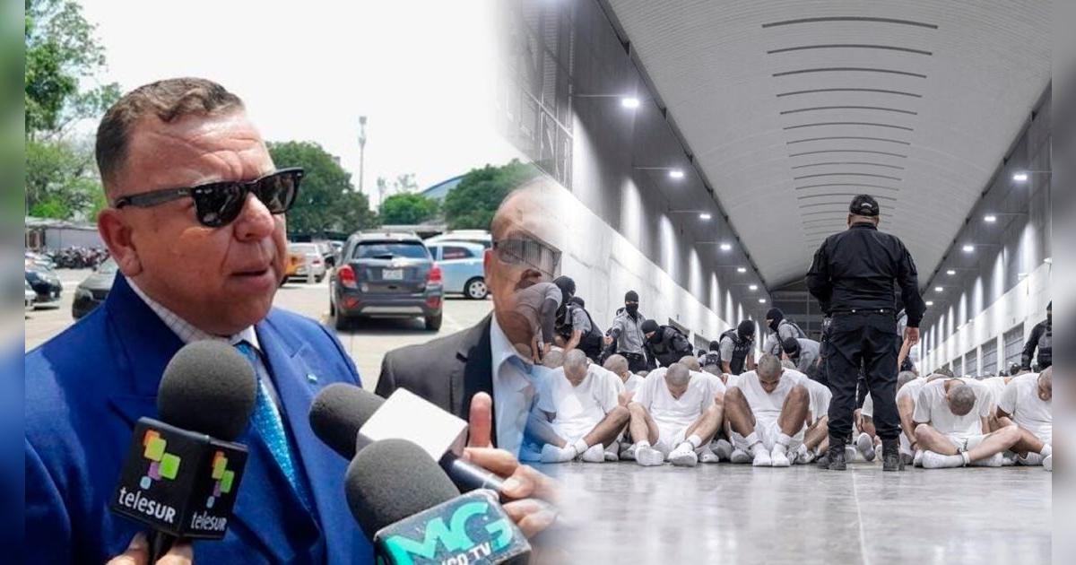 ¡Última hora! Abogados del régimen de Maduro piden la liberación de 238 venezolanos deportados de Estados Unidos