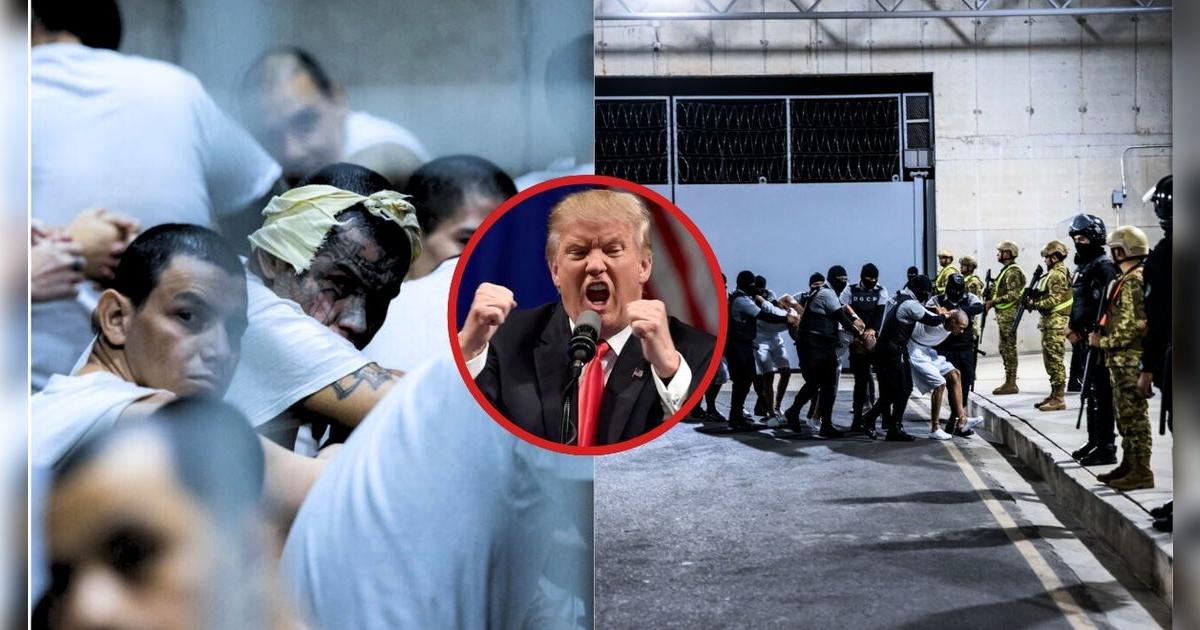 ¡Malas noticias, inmigrantes! Donald Trump reanuda las deportaciones a El Salvador pese a los bloqueos judiciales